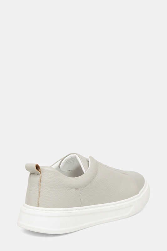 WCollection4 WCollection4