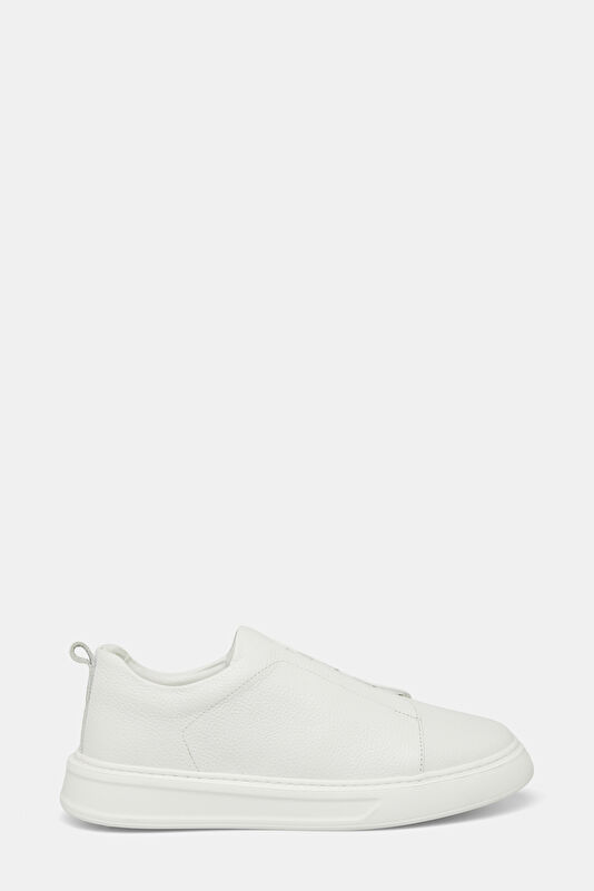 WCollection1