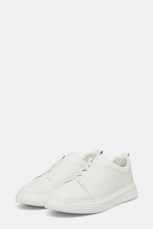 WCollection2 WCollection2