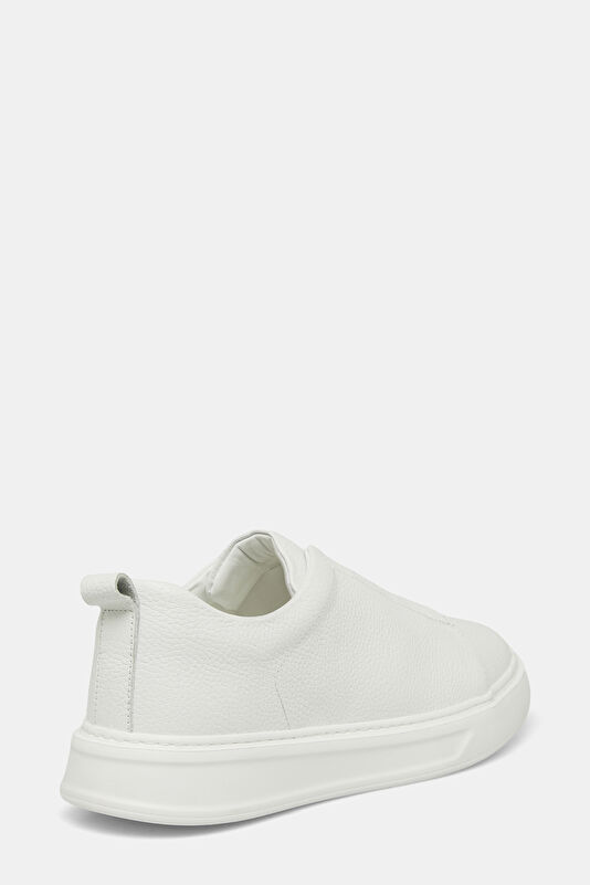 WCollection4 WCollection4