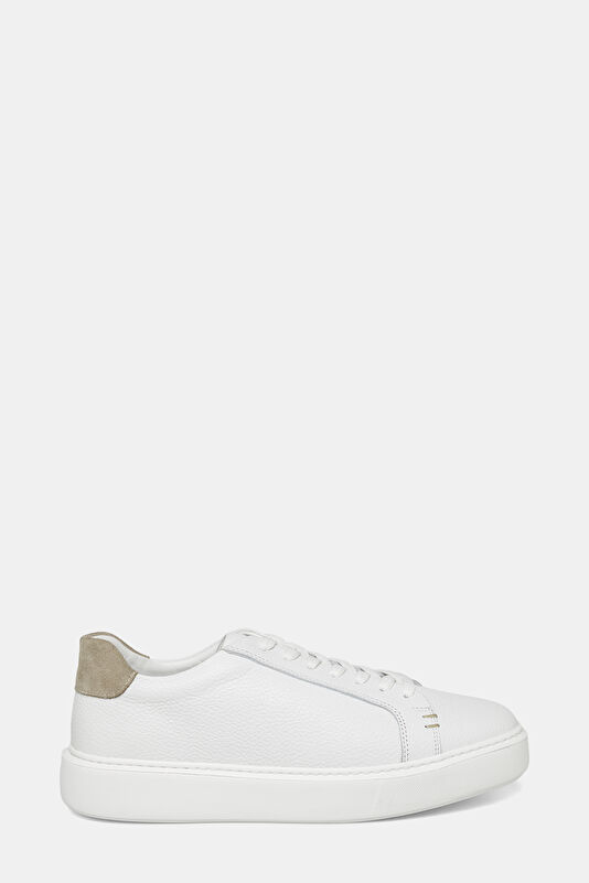 WCollection1 WCollection1