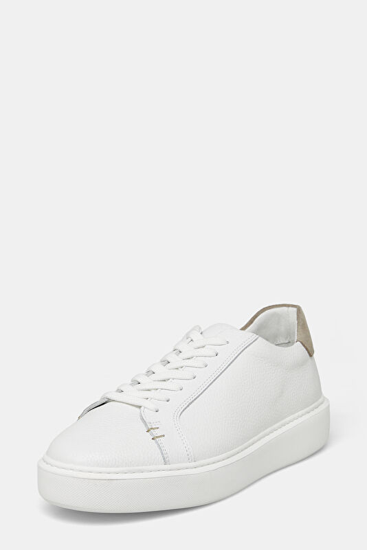 WCollection3