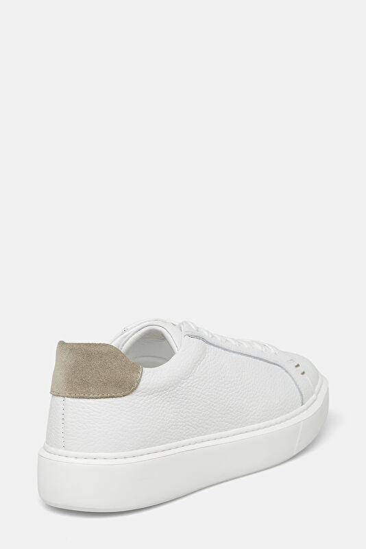 WCollection4 WCollection4