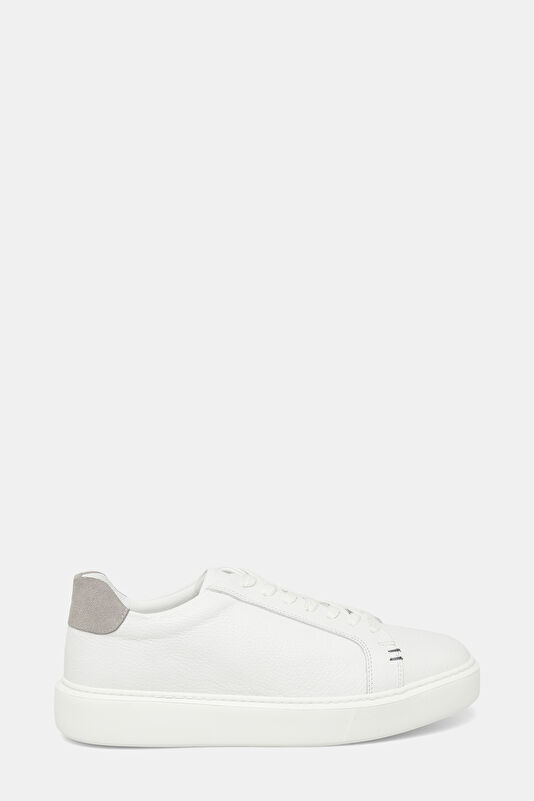 WCollection1 WCollection1