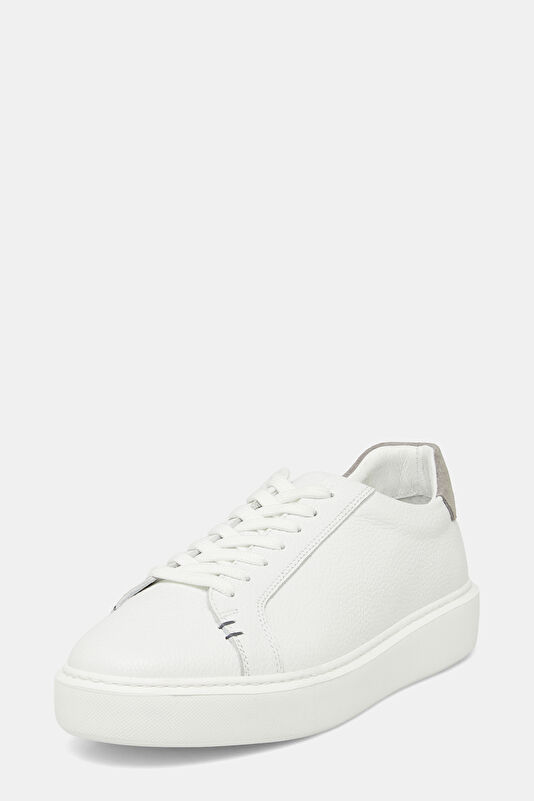 WCollection3 WCollection3