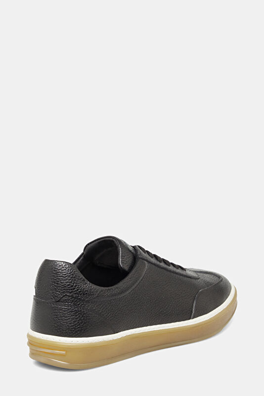 WCollection4 WCollection4