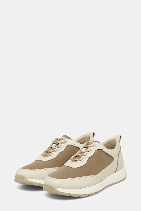 WCollection2 WCollection2