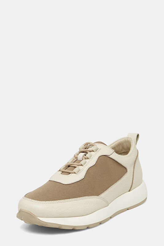 WCollection3 WCollection3