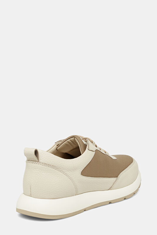 WCollection4 WCollection4