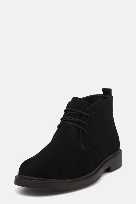 WCollection3 WCollection3