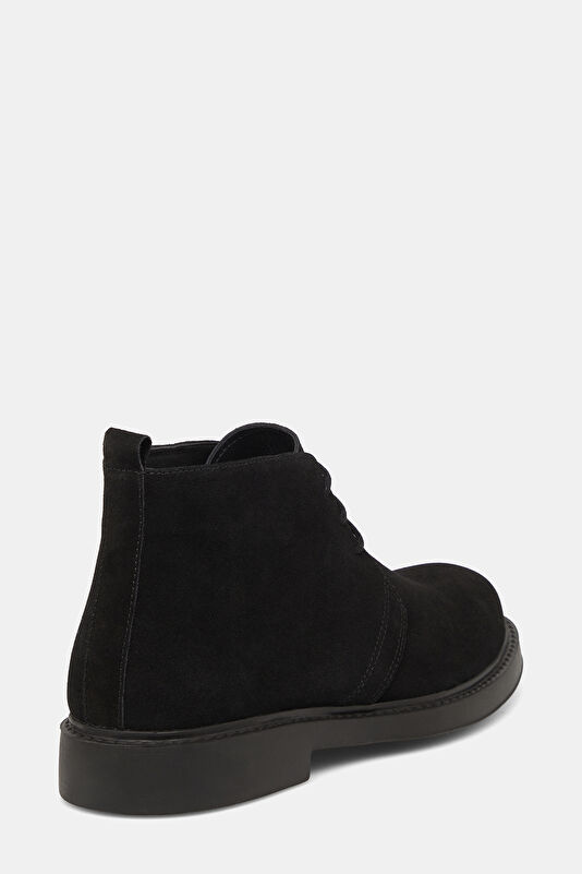 WCollection4 WCollection4