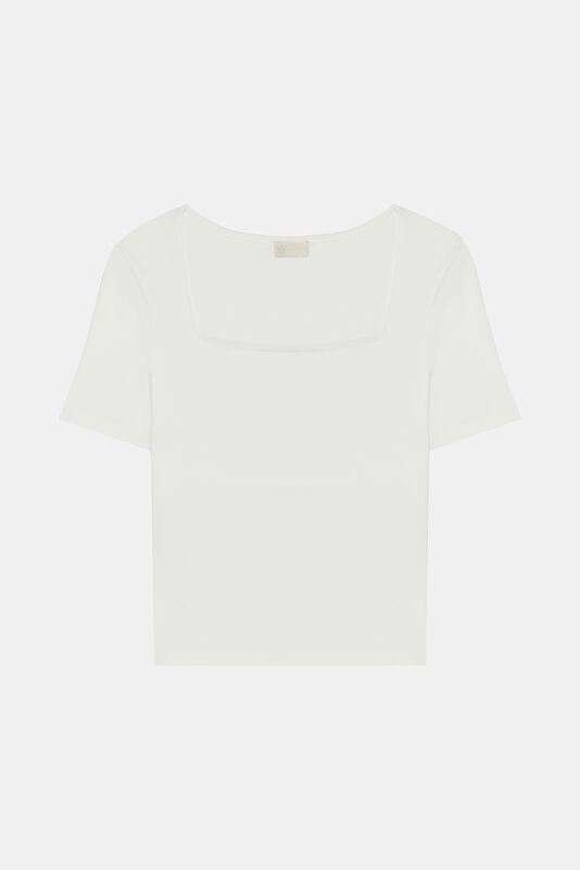 WCollection1 WCollection1