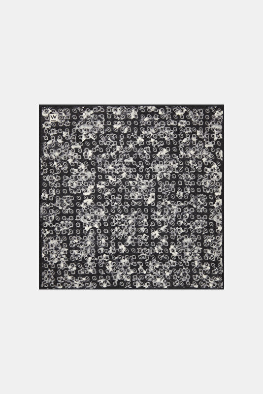 WCollection1 WCollection1