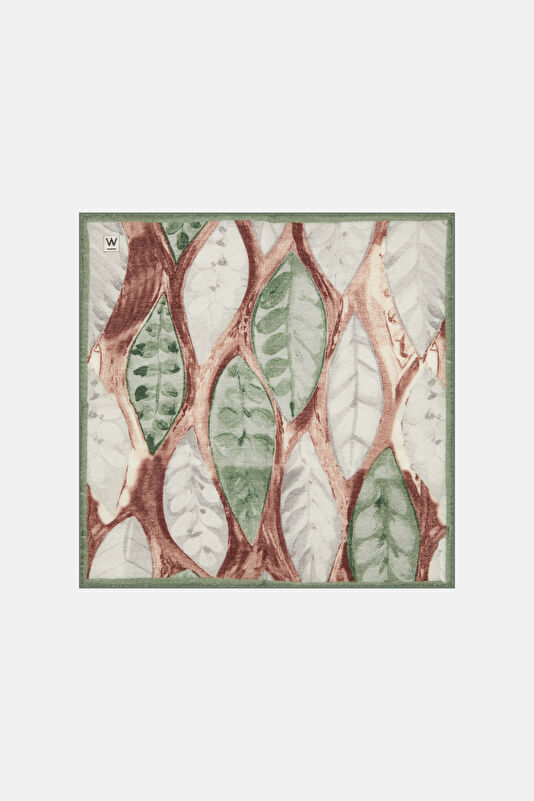 WCollection1 WCollection1