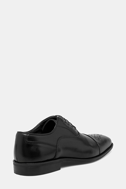 WCollection4 WCollection4