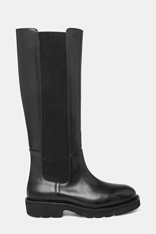 WCollection1 WCollection1