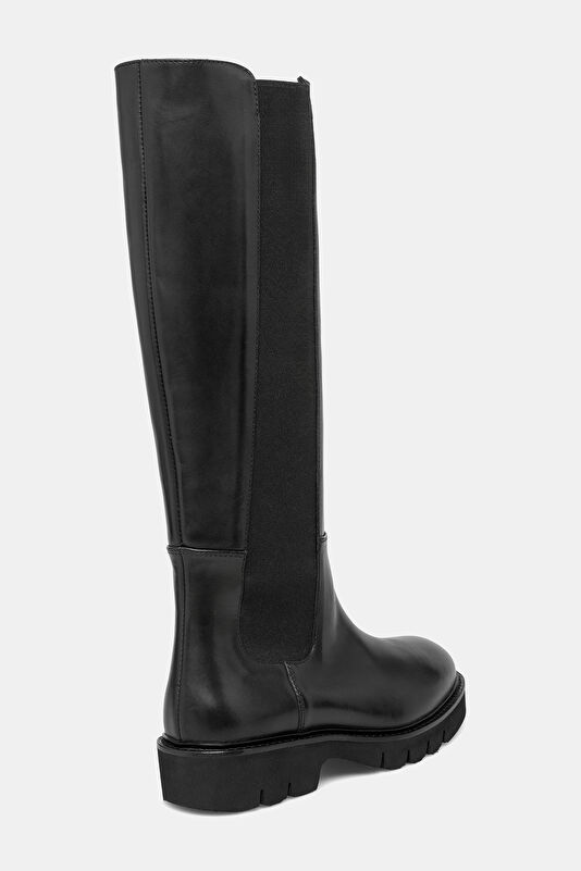 WCollection4 WCollection4