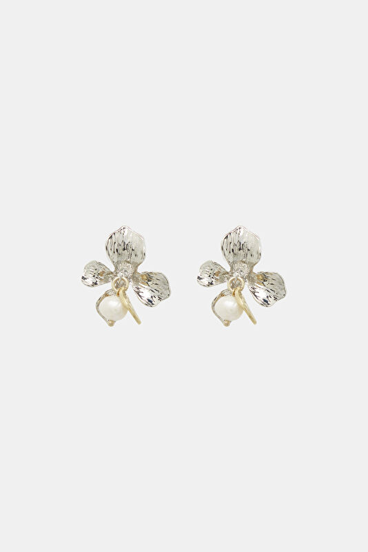 WCollection1