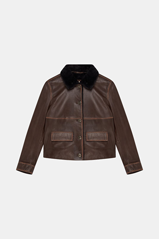 WCollection1