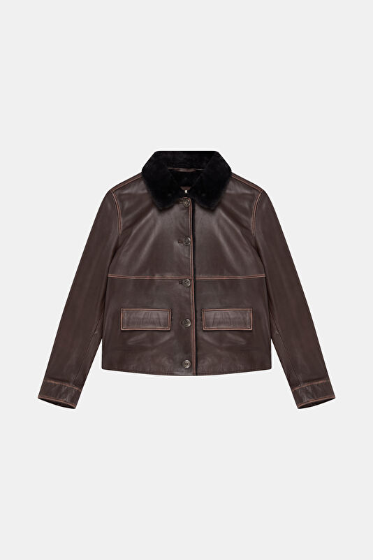 WCollection4 WCollection4