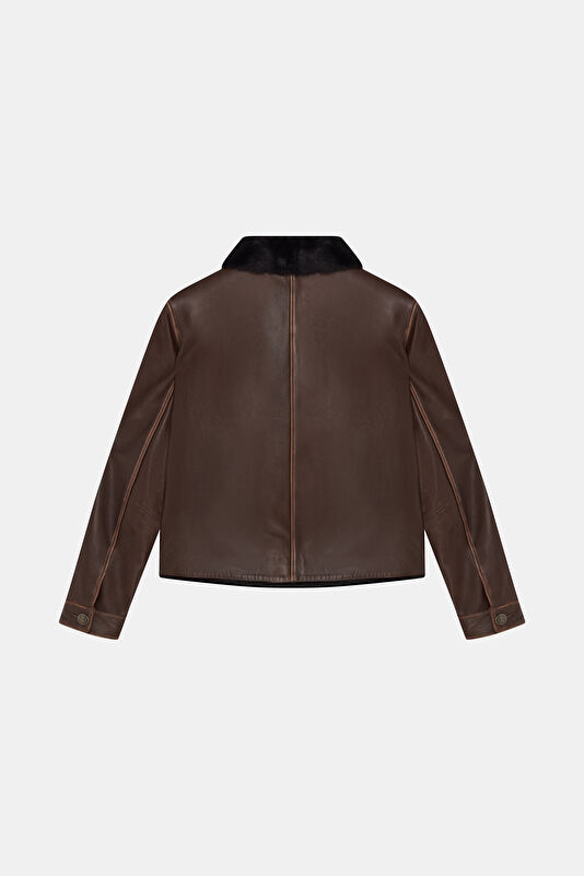 WCollection2