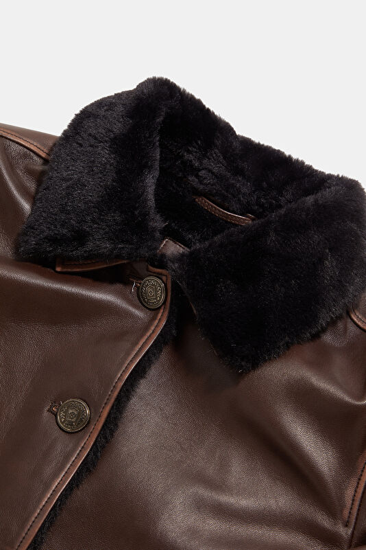 WCollection3