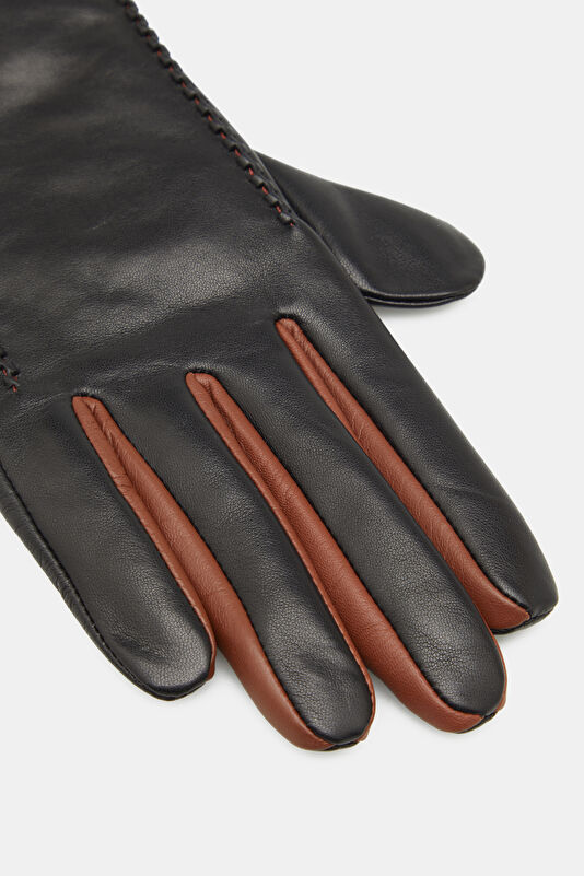 WCollection2 WCollection2