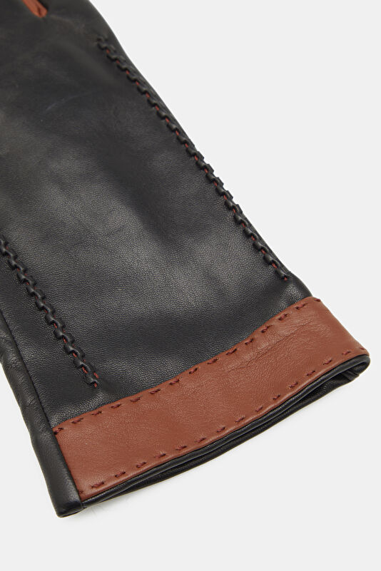 WCollection3 WCollection3