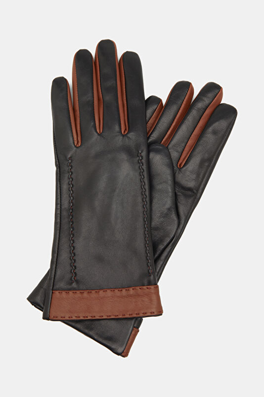 WCollection4 WCollection4