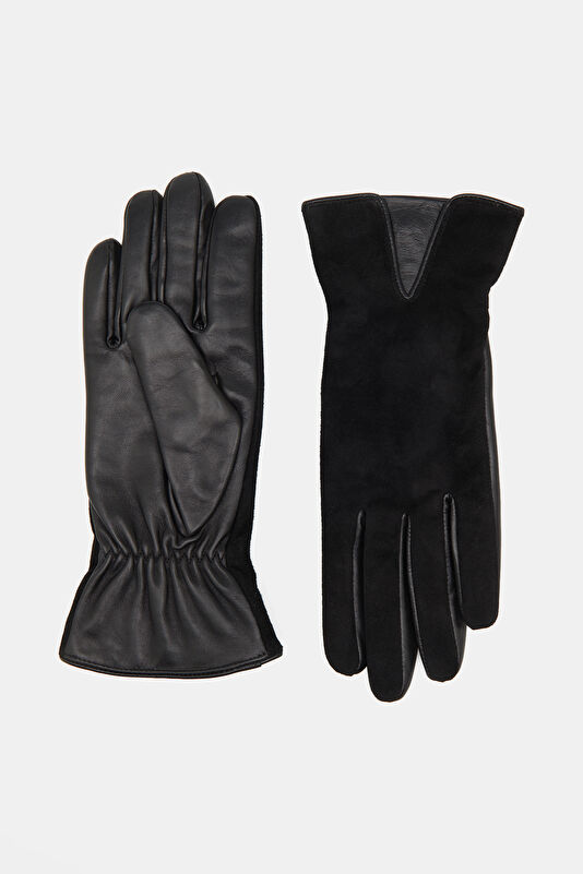 WCollection1 WCollection1