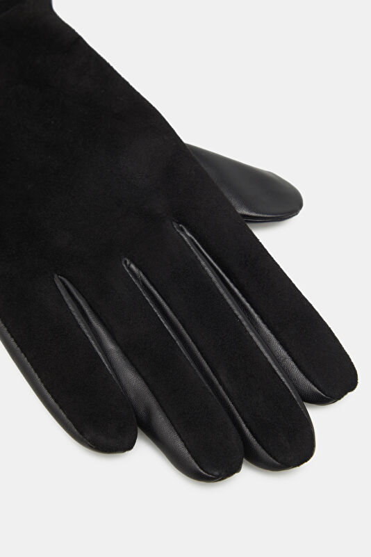 WCollection2 WCollection2