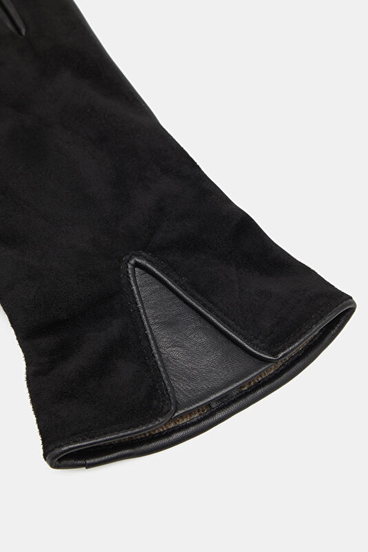 WCollection3 WCollection3