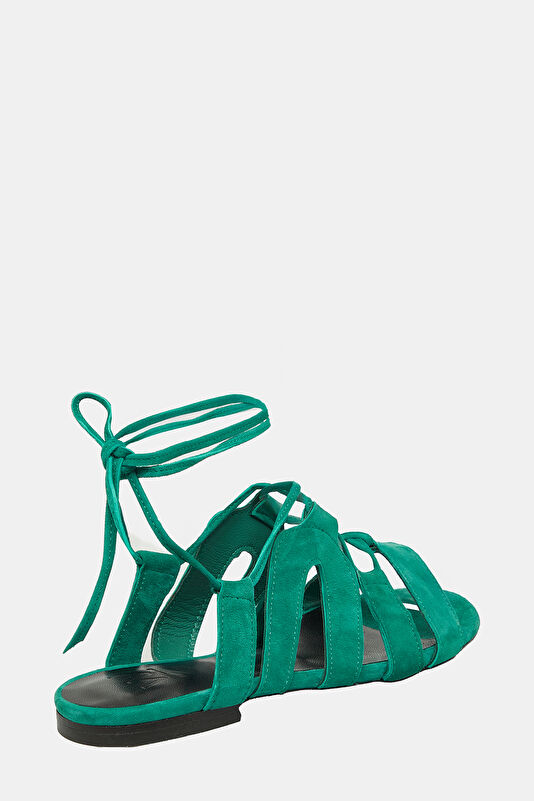 WCollection4 WCollection4