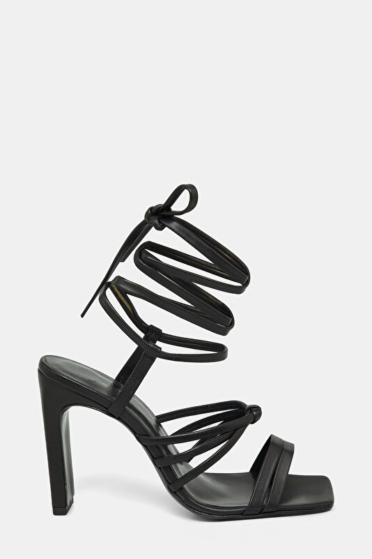 WCollection1 WCollection1