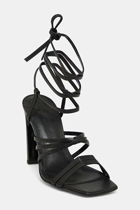 WCollection2 WCollection2