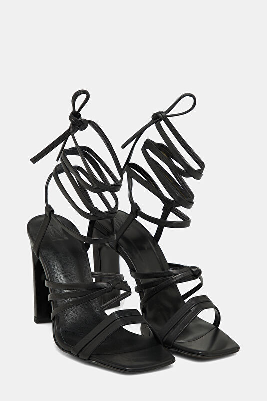 WCollection3 WCollection3