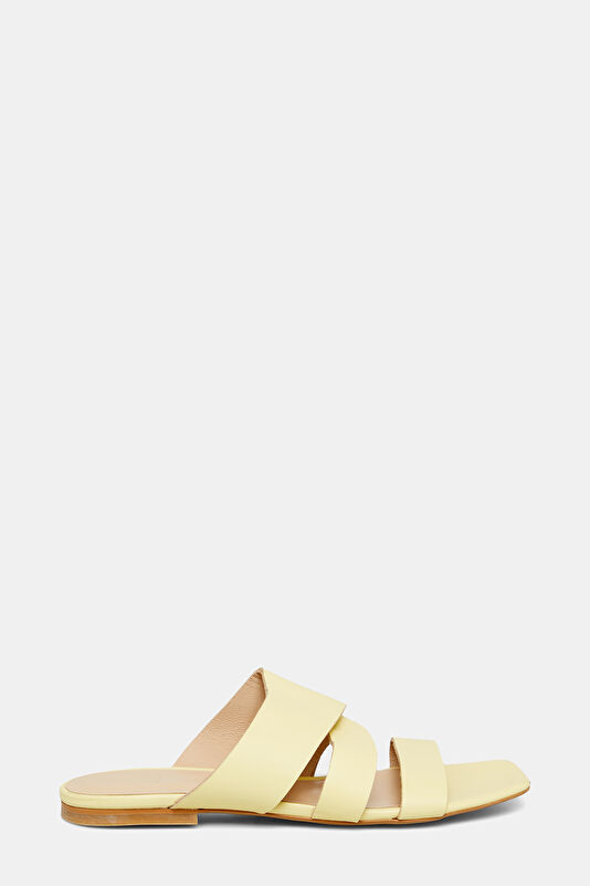 WCollection1 WCollection1