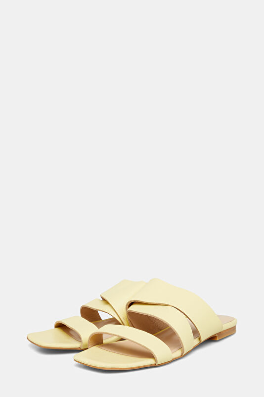 WCollection2