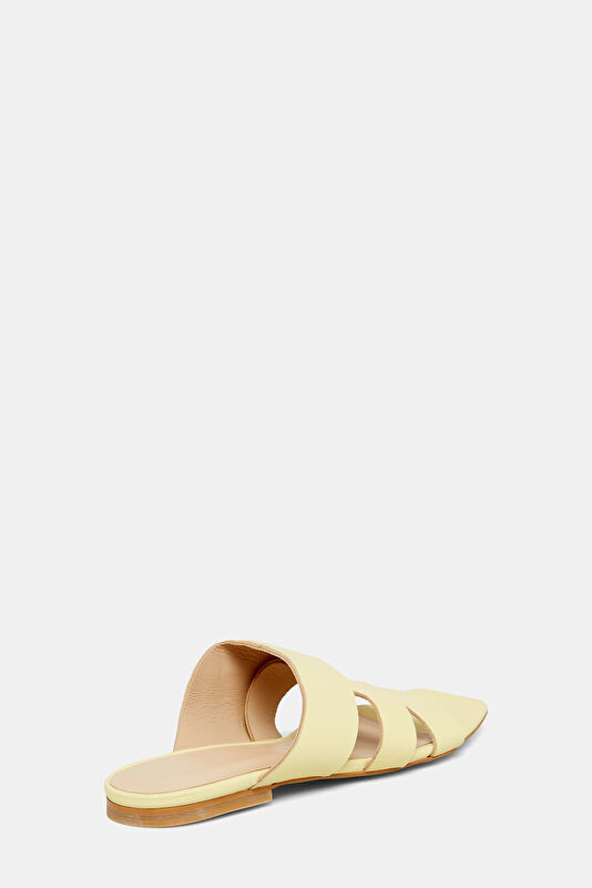 WCollection3 WCollection3