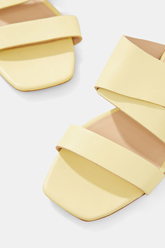 WCollection4 WCollection4