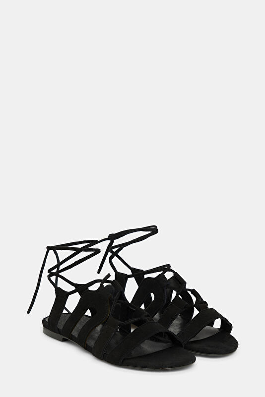 WCollection3 WCollection3