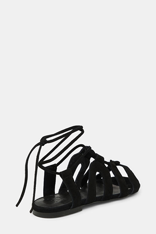 WCollection4 WCollection4