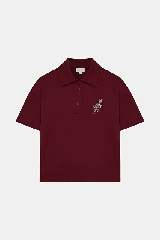 WCollection1 WCollection1