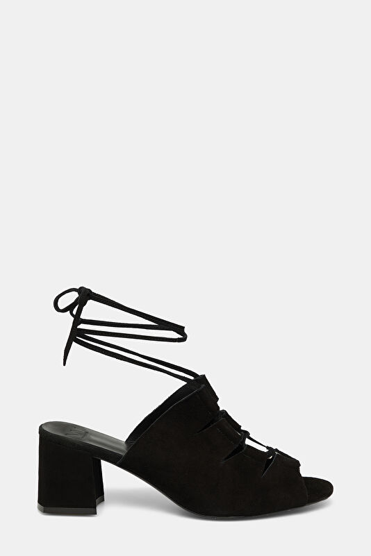WCollection1