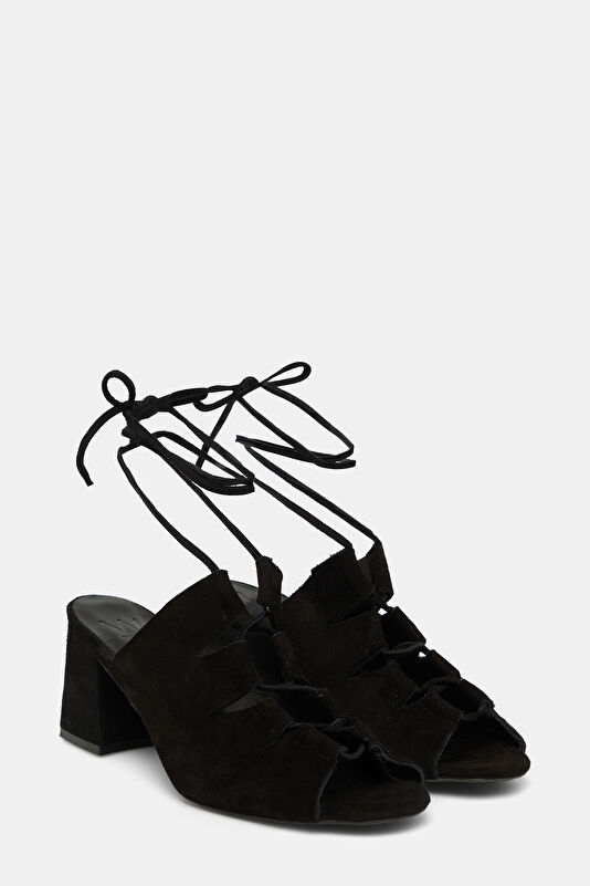 WCollection3