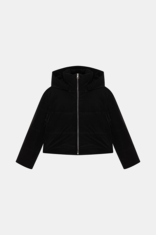 WCollection4 WCollection4