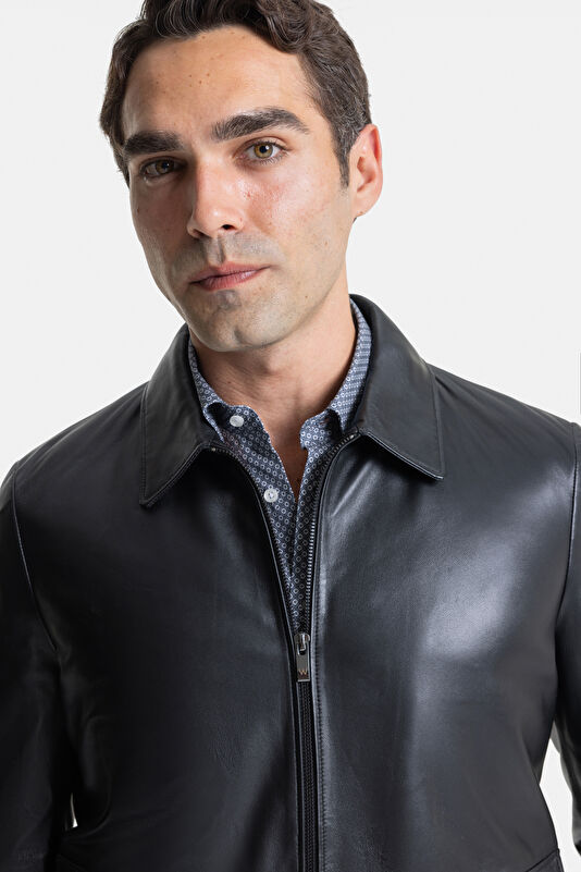 WCollection3 WCollection3