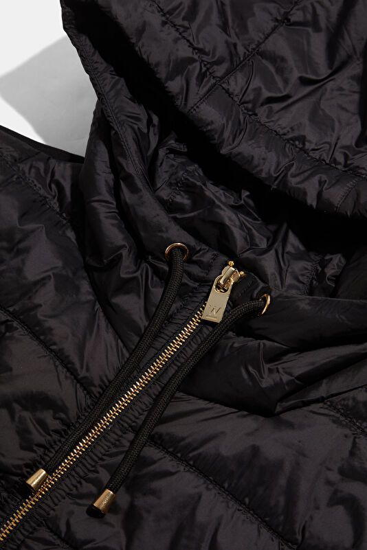 WCollection3
