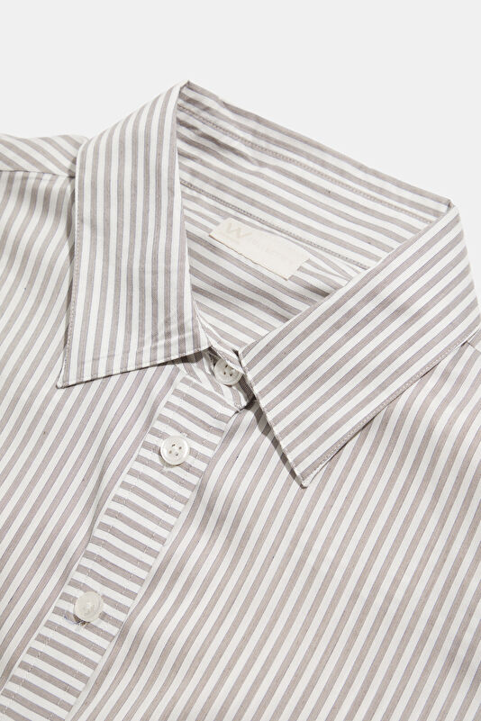 WCollection3 WCollection3