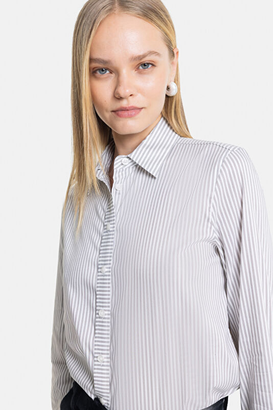 WCollection3 WCollection3